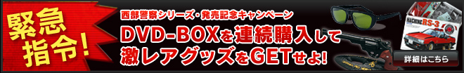 DVD-BOXを連続購入して 激レアグッズをGETせよ!