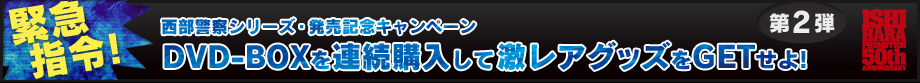 発売情報