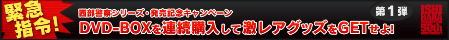 発売情報